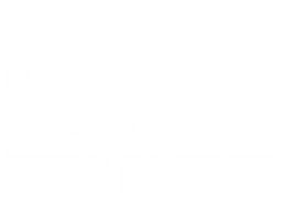 Chate Digital Solutions